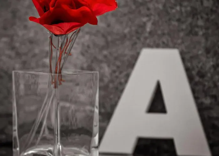 Casa Das Anas Landhaus Ponte de Lima